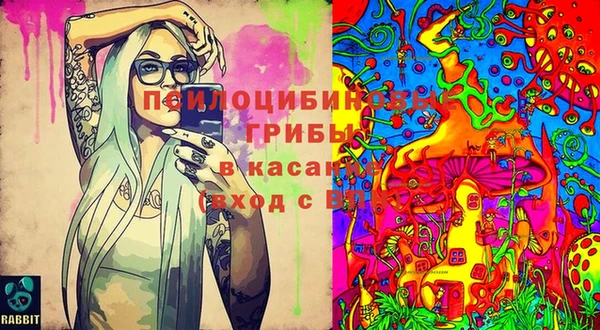 амф Алексин